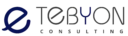 Tebyon Consulting